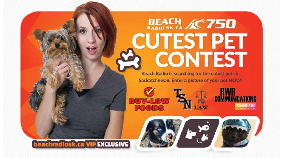 2020 Cutest Pet Contest