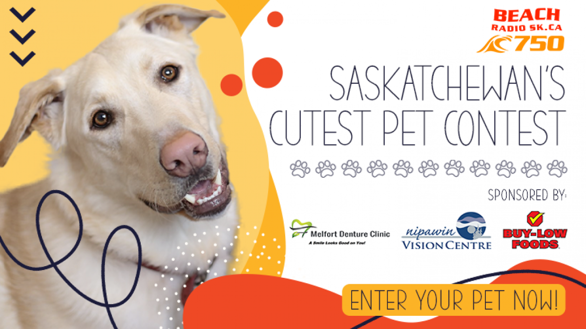 Cutest Pet 2021 - FINAL ROUND!
